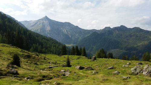 Apartamento Ferienwohnungen Reinbacher - Primps