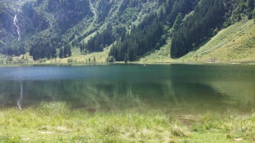 Apartamento Ferienwohnungen Reinbacher - Primps
