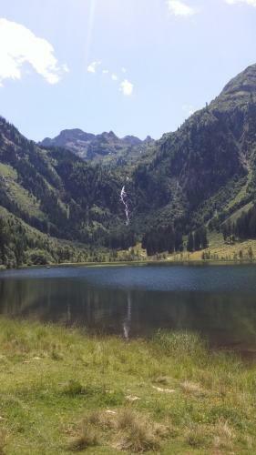 Apartamento Ferienwohnungen Reinbacher - Primps