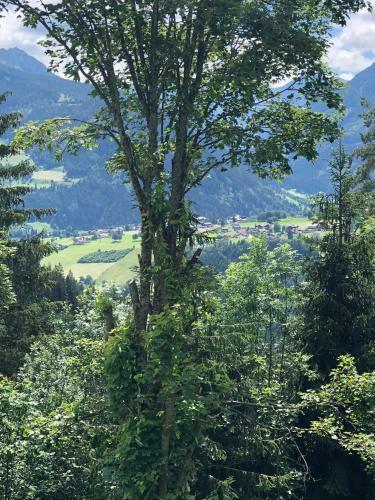 Apartamento Alpenkrone Schladming Neubau