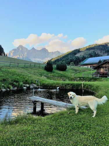 Apartamento Ferienhaus Mandlberg
