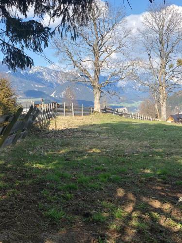 Apartamento Landhaus Andrea