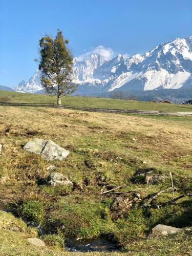 Apartamento Landhaus Andrea