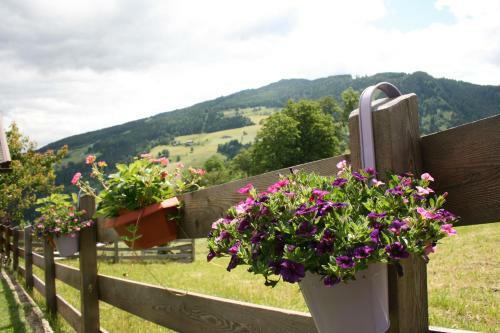 Apartamento Haus Bergliebe