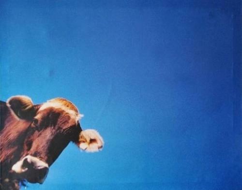 Apartamento Sonniges Platzl Zur Ehrlichen Kuh