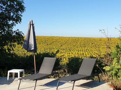 La Maison Du Bonheur � 15mn De Toulouse