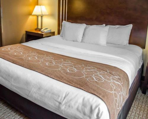 Hotel Comfort Suites Hummelstown