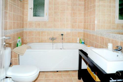Apartamento Luxury Stone Villa In Mystras