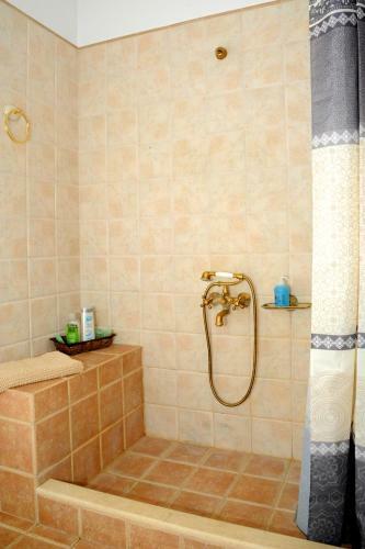 Apartamento Luxury Stone Villa In Mystras