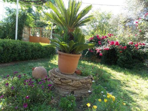 Apartamento Art Flowers And Culture