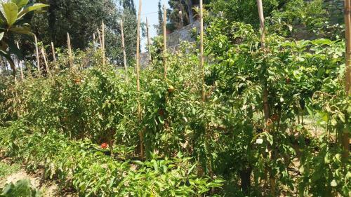 Sea View Villa With 4 Bedrooms - Grecorama