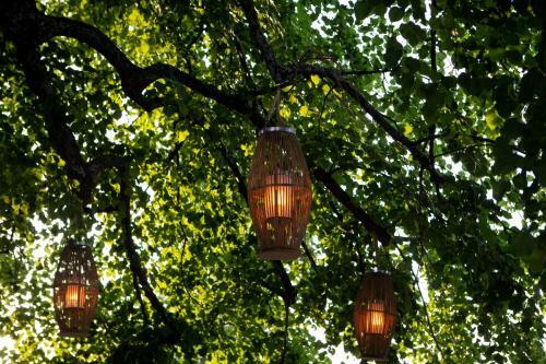 Hotel Tilia Resort