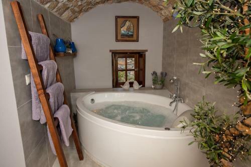 Villa Casa Felicia-the Castle Mansion