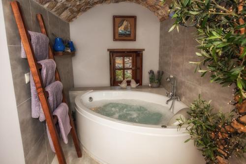 Villa Casa Felicia-the Castle Mansion