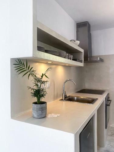 Apartamento Lulu