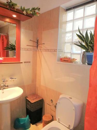 Apartamento Areti's House