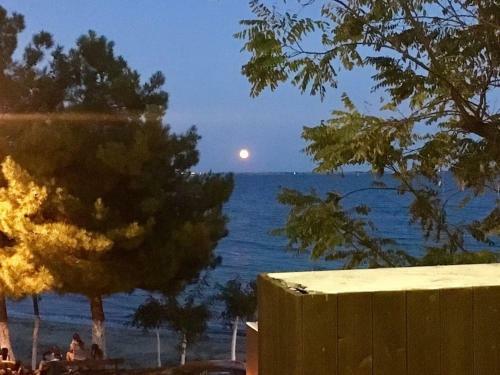 Bed & Breakfast Elgreco By The Sea