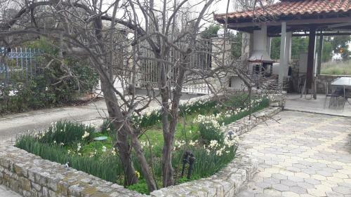 The Villa Of The Winds