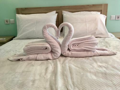 Bed & Breakfast Lazy Lizard