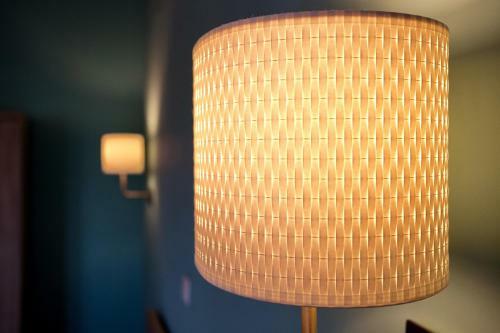 Bed & Breakfast Lazy Lizard