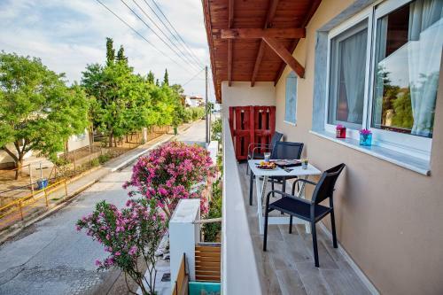 Bed & Breakfast Lazy Lizard