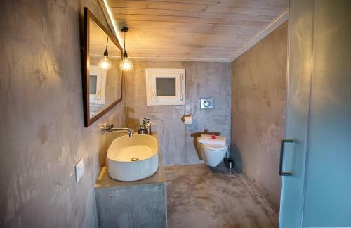 Bed & Breakfast Lazy Lizard