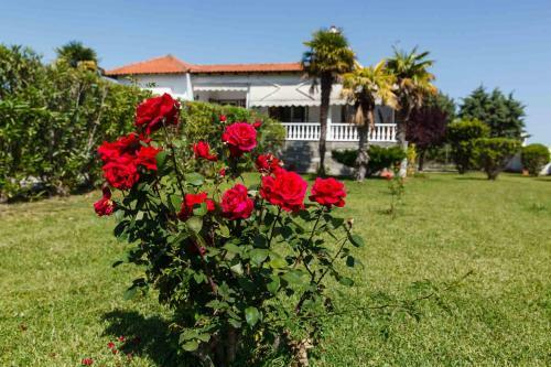 Seaside Villa Halkidiki