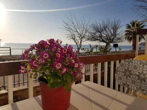 Apartamento Kristina Family Home