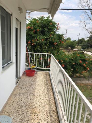 Apartment Koxyli 1