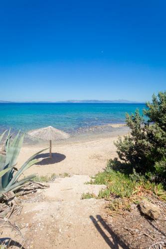 ''nirvana Seaside'' By The Beach