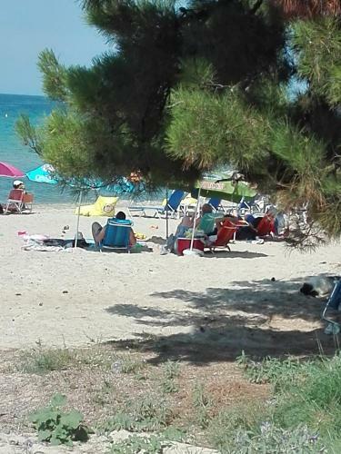 Apartamento Blue Studio