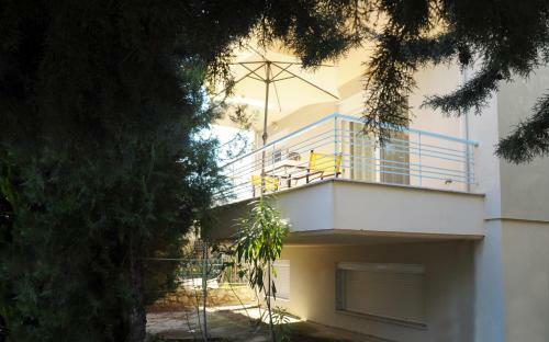 Sunny Family Apartment