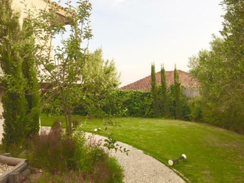 Sea View Villa In Olive Garden