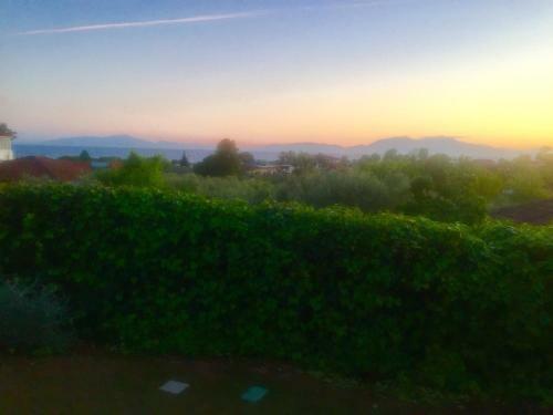 Sea View Villa In Olive Garden