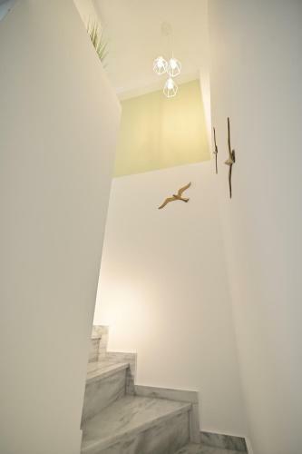 White Coral Luxury Apartments