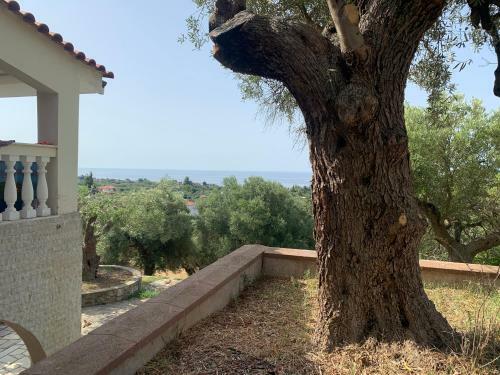 Olive Stone Villa