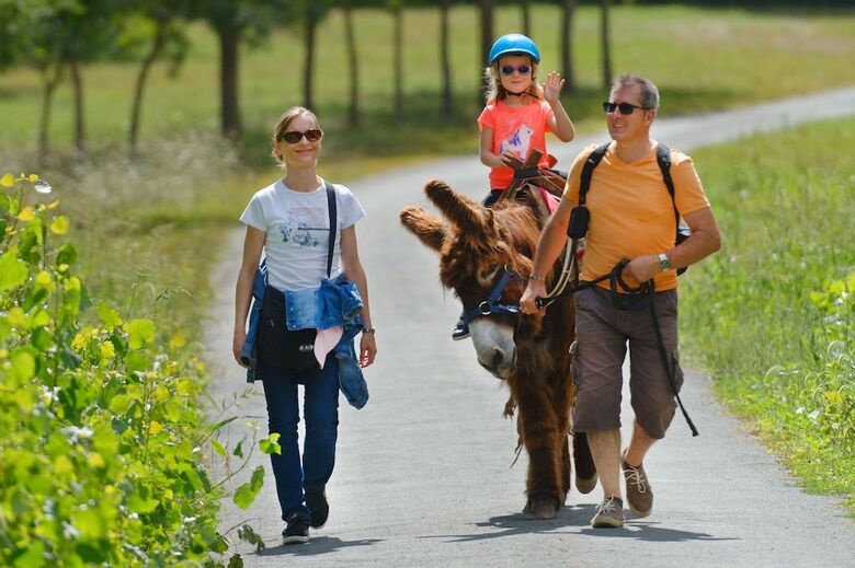 Bed & Breakfast Du Coq A L'ane