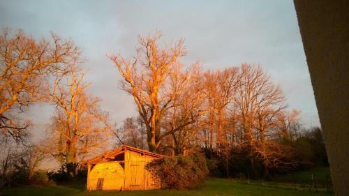 Hostal Castel La Bergerie