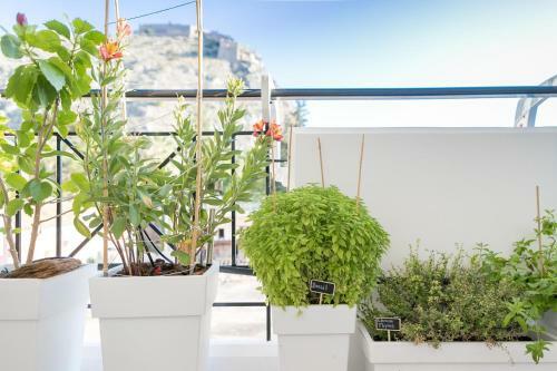 City Apartment With Private Parking