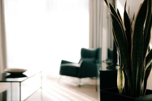 Apartamento Vida Omirou Residences