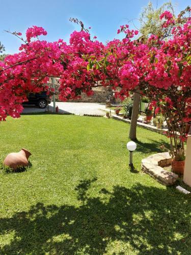 Apartamento Kerkis View Houses