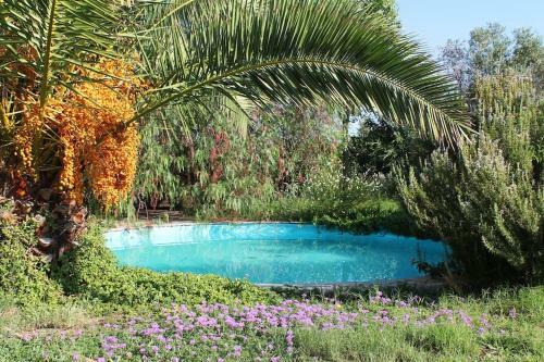 Sunshiny - Two Houses With Pool In Private Grounds