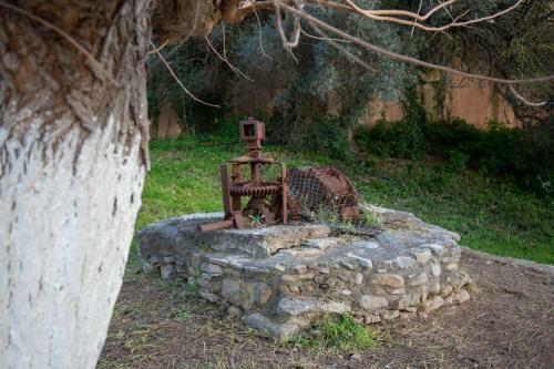 Neriana Villa - Garden Paradise