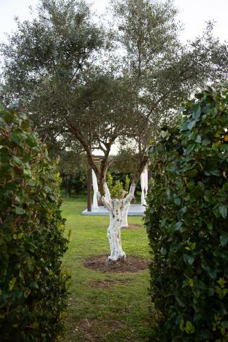 Neriana Villa - Garden Paradise