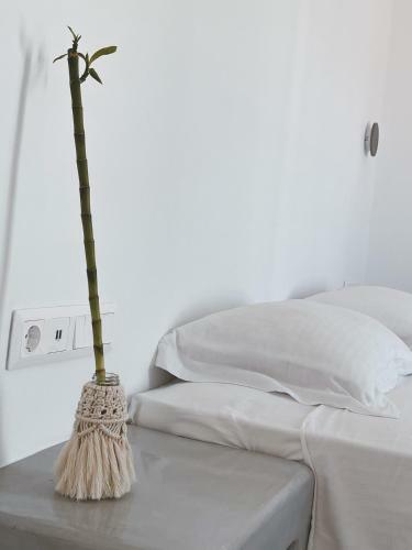 Vammos Luxury Apartments