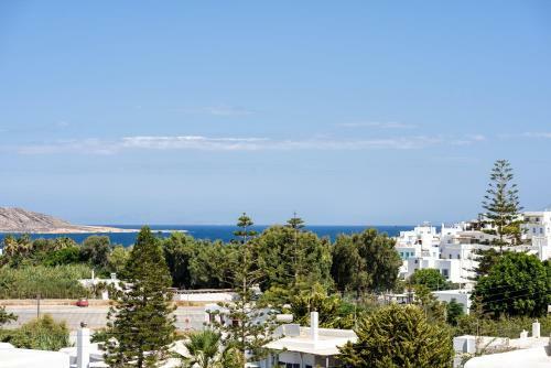 Hara?s Villa In Naousa , Paros