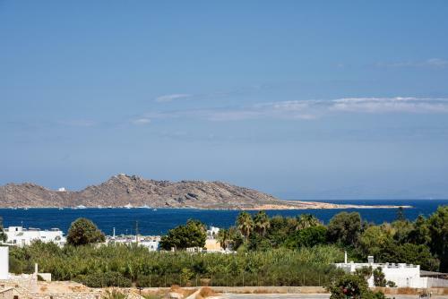 Hara?s Villa In Naousa , Paros