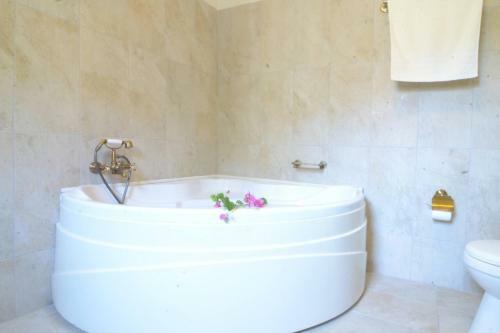 Villa Angie Nymfes Corfu Villa