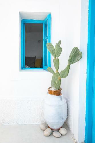 Nacros Villa Olympos Karpathou