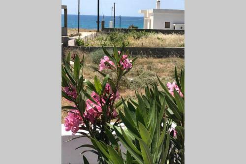 Traditional 2bdr. Beach House